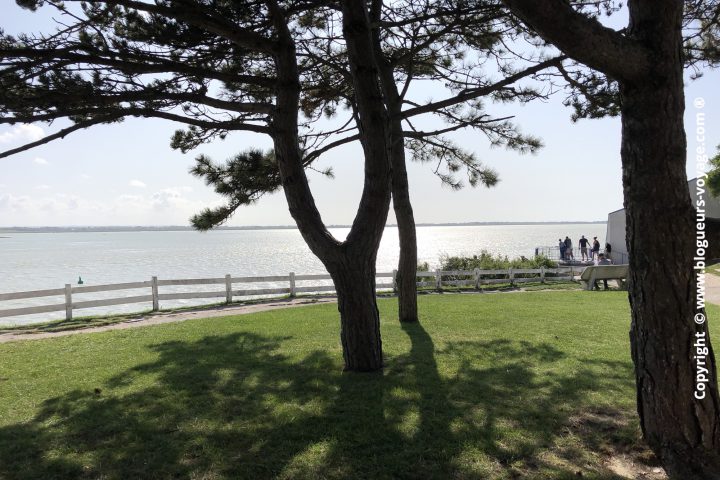 baie-somme-crotoye-fort-mahon-04