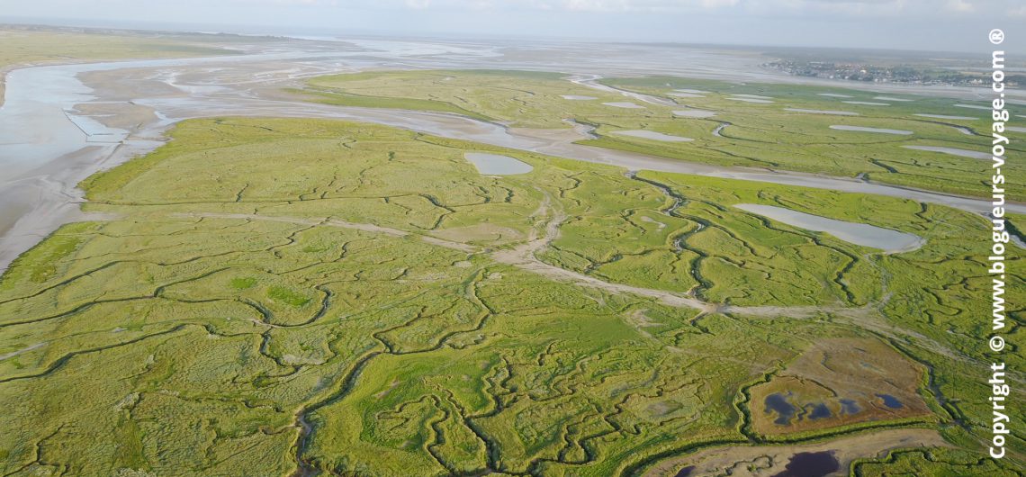 baie-somme-saint-valery-sur-somme-drone-22