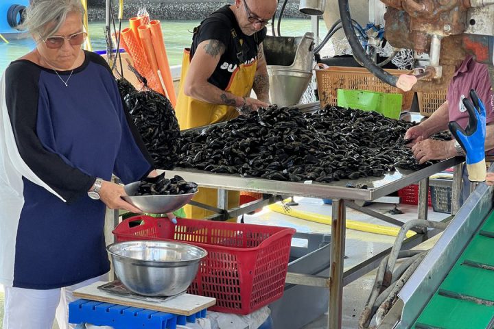 blog-voyage-italie-emilia-romagne-bellaria-igea-marina-45