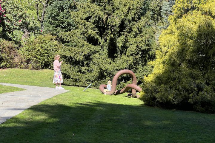 villa-carlotta-griante-lac-come-06