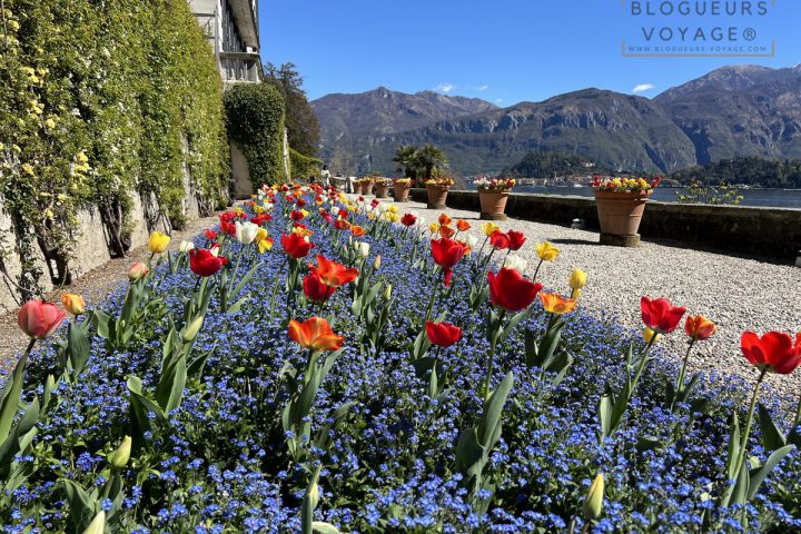 villa-carlotta-griante-lac-come-23